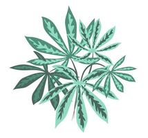 castaña hojas en plano diseño. verde árbol follaje con leña menuda ramo. ilustración aislado. vector