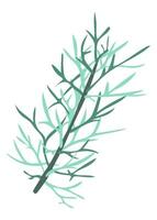 Abstract green dill herb in flat design. Rosemary branch with twigs. illustration isolated. vector