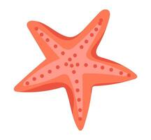 Red starfish in flat design. Tropical underwater star, ocean mollusc. illustration isolated. vector