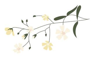 blanco amable margarita flores en ramita en plano diseño. floreciente Boda ramo. ilustración aislado. vector