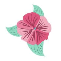 Abstract pink petunia in flat design. Blooming flower head with leaves. illustration isolated. vector