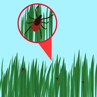 Tick in the green grass flat illustration. Danger tick bug in grass.Healthcare illustration. vector