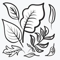 mano dibujado botánico sucursales, flor y hojas vector