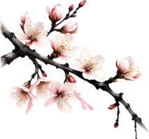 Cherry blossom branch with several soft, detailed flowers. AI-Generated. png