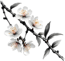 Cherry blossom branch with several soft, detailed flowers. AI-Generated. png
