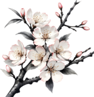 Kirsche blühen Ast mit mehrere weich, detailliert Blumen. KI-generiert. png
