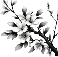 Cherry blossom branch with several soft, detailed flowers. AI-Generated. png