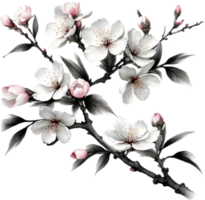 Cherry blossom branch with several soft, detailed flowers. AI-Generated. png