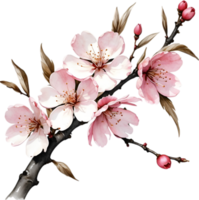 Cherry blossom branch with several soft, detailed flowers. AI-Generated. png