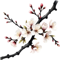 Cherry blossom branch with several soft, detailed flowers. AI-Generated. png