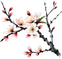 Cherry blossom branch with several soft, detailed flowers. AI-Generated. png