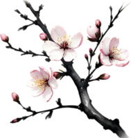 Cherry blossom branch with several soft, detailed flowers. AI-Generated. png