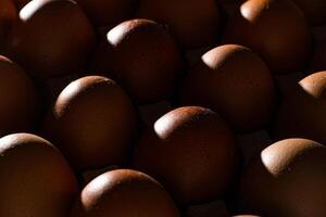 huevo antecedentes. marrón huevos en un bandeja. proteína alimento. eco orgánico. minimalismo concepto. foto