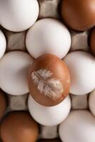 Egg background. White and brown eggs in a tray. Protein food. Eco organic. photo