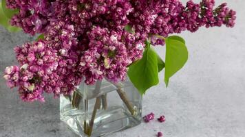 Bunch of spring lilac purple flowers in a vaseBun video