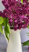 Bunch of spring lilac purple flowers in a vase video