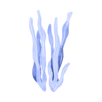 hand- getrokken algen elementen. geïsoleerd illustratie met zeewier. kinderachtig waterverf illustratie png