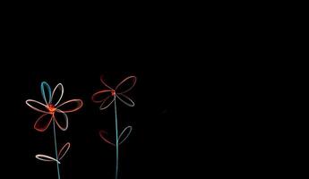 neon flower drawing animation on black background. Flowers and neon lines drawn on a black background video