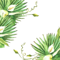 tropisch botanisch rahmen, Anthurium Blumen, Palme Blatt, Calathea, Kriechpflanze Zuhause Pflanze Blätter Karte Vorlage. exotisch Urwald Grün Clip Art Aquarell Hand gezeichnet Illustration Hintergrund png