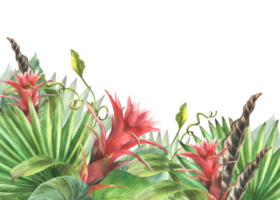 tropisch bladeren en bloemen banier, bromelia, palm blad, calathea, exotisch klimplant, huis fabriek kaart sjabloon oerwoud groen bloemen clip art. waterverf geschilderd illustratie achtergrond png
