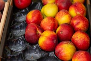 nectarines for sale at a fruit stand photo