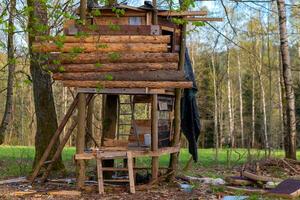 an old tree house in a forest photo