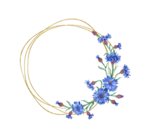 fiordalisi blu fiori telaio mazzo acquerello illustrazione. botanico composizione elemento isolato a partire dal sfondo. adatto per cosmetici, aromaterapia, medicinale, trattamento, cura, disegno, png