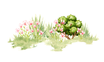 Clearing with pink flowers and bushes in watercolor png
