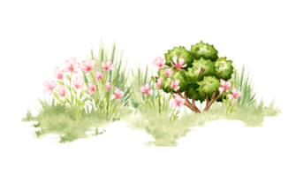 Clearing mit Rosa Blumen und Gebüsch im Aquarell png