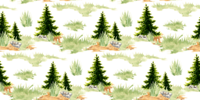 Spruce in a clearing in a forest natural landscape element pattern watercolor illustration. Forest wildlife scene with green grass, coniferous trees, fir, spruce, pine, stones. To compose compositions png