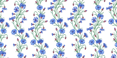blåklint blå blommor mönster vattenfärg illustration. botanisk sammansättning element isolerat från bakgrund. lämplig för kosmetika, aromaterapi, medicin, behandling, vård, design, png