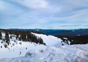 View of the mountains from the Timberlaine Plateau. Oregon. The vicinity of Mount Hood photo