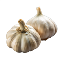 Two Fresh Garlic Bulbs on Transparent Background Illustration png