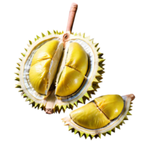 fruta fresca de durian png