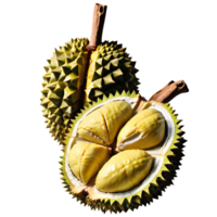 frische Durianfrucht png