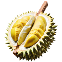 fruta durian fresca png