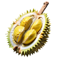 fruit de durian frais png