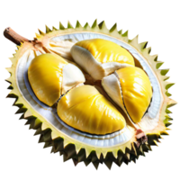 fruta durian fresca png