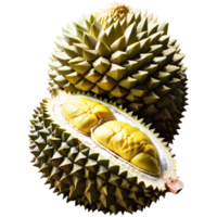 fruta durian fresca png