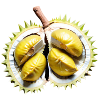 Fresh Durian Fruit png