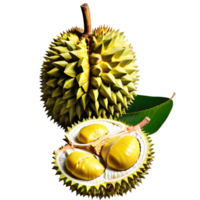 fruta durian fresca png