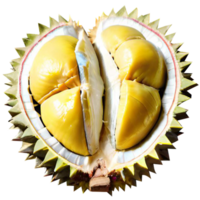 fruta durian fresca png