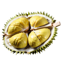 fruit de durian frais png