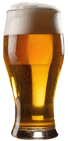 Glass of fresh beer png