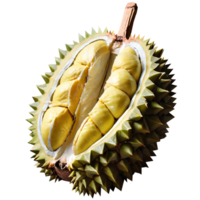 frische Durianfrucht png