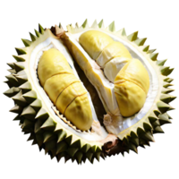 fruta fresca de durian png