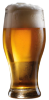 Glas von frisch Bier png