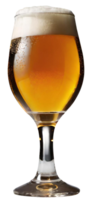 Glass of fresh beer png