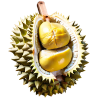 fruit de durian frais png