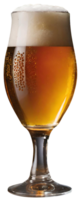 Glass of fresh beer png